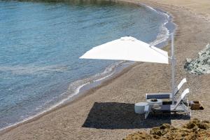 Villa Calma a Beachfront Luxury Retreat