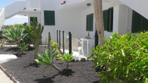 Playa El Cotillo, Los Lagos