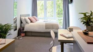 Student Only Accommodation - Lace Market Studios
