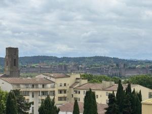 Appartements La Sentinelle - Vue Cite : photos des chambres