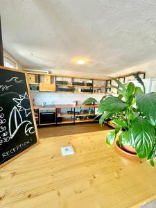 Endless Summer Hostel