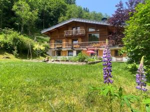 Chalet Mountain Vibes