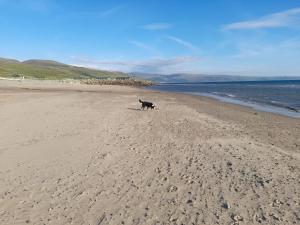 Sher, My Happy super static -2026 Award winner