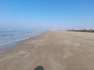 Sher, My Happy super static