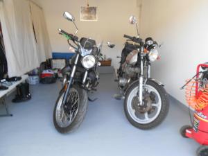 B&B / Chambres d'hotes AUX BOIS de CERF : photos des chambres