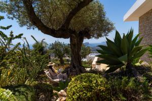 Villas Aloe Vera by Abahana Luxe