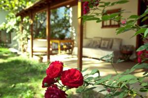 Günebakan Taliani Otel