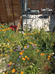 Maisons de vacances Le petit Preau 10 min plages : photos des chambres