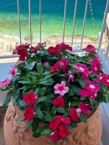 Beachfront Luxe Apartment Sarande