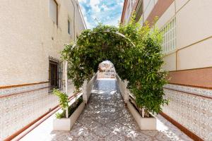 Apartamento Noruega Sunrise