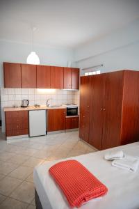 Theros Apartment Preveza