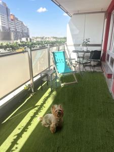 Downtown Apartments Family&Friends