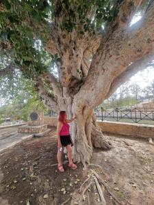 Awaken Your Hidden Goddess Retreat at Nissi Avenue - Central Ayia Napa