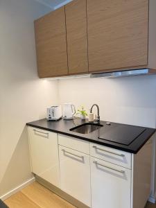 Modern 1BR Near Port & City Center