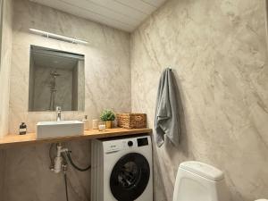 Central, harbour 5 minutes, 1-bedroom apartment