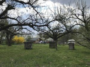 Agroturystyka Podłazy
