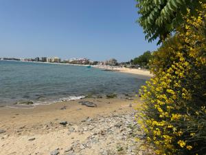 Prestige Fort Sveti Vlas Aparthotel 1 bedroom 4 people