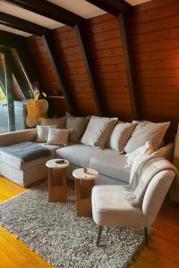 Mrežnički doživljaj