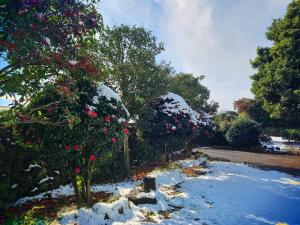 Haenarr Hanok Stay in Mandarin Orchard, 100m from Sea