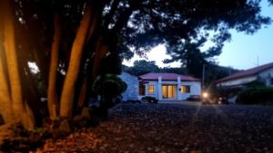 Haenarr Hanok Stay in Mandarin Orchard, 100m from Sea