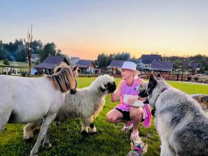 Domek Eden 1 Kaszuby balia sauna alpaki mini zoo