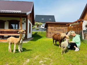 Domek Eden 1 Kaszuby balia sauna alpaki mini zoo