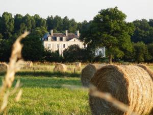 Maisons d'hotes Chateau La Mothaye : photos des chambres