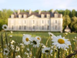 Maisons d'hotes Chateau La Mothaye : photos des chambres