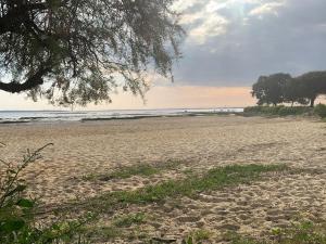 Appartements Studio cosy a 300 m de la plage 1 a 4 pers : photos des chambres