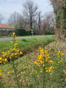 Studio cosy à 300 m de la plage 1 à 4 pers