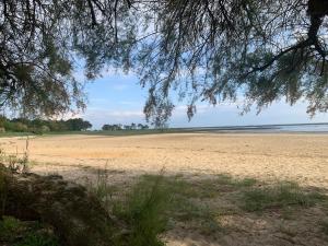 Appartements Studio cosy a 300 m de la plage 1 a 4 pers : photos des chambres