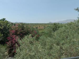 Verdura Country