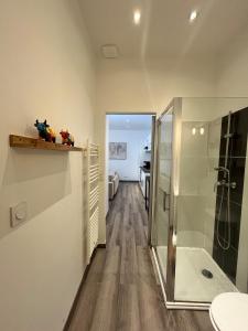Appartements Loft au coeur de Tarare : photos des chambres