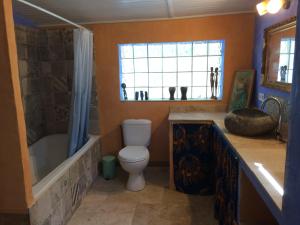 Maison en pleine nature