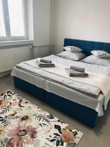 Velký byt se dvěma ložnicemi, zahrada, Wifi zdarma