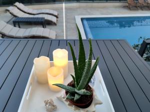 Luxury Apartment Hator