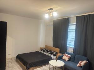 Sofi studio centrale