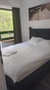 Apartament BOGDANKA nad Zalewem