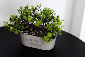 SKG City View Studio #2