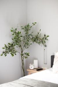 Courtyard Kalnina Apartment