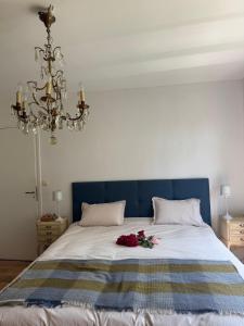 La Forestière du Château