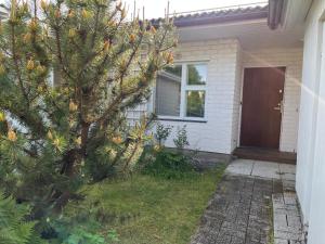 Gem of Vuosaari - private sauna, free parking and WiFi, walking distance from metro