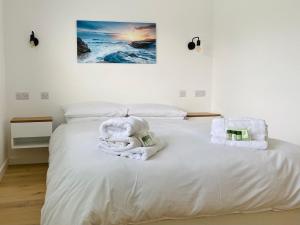 Newly built luxury cabin