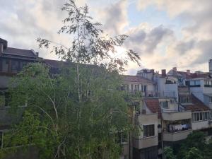 "Daisy" spasious apartment close to city park