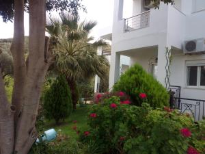 Korfes Apartments Heraklio Greece