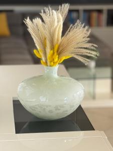 Penthouse Bella Vista