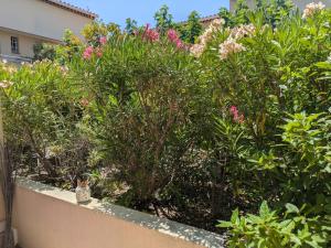 Appartements Charmant Studio avec coin nuit proche plage : photos des chambres