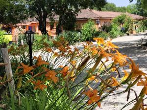 B&B / Chambres d'hotes Le Mas de Balmes : photos des chambres