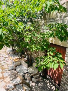 Maisons de vacances L'Ostal des Embruscalles : photos des chambres