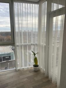 Апартаменти Люкс 6